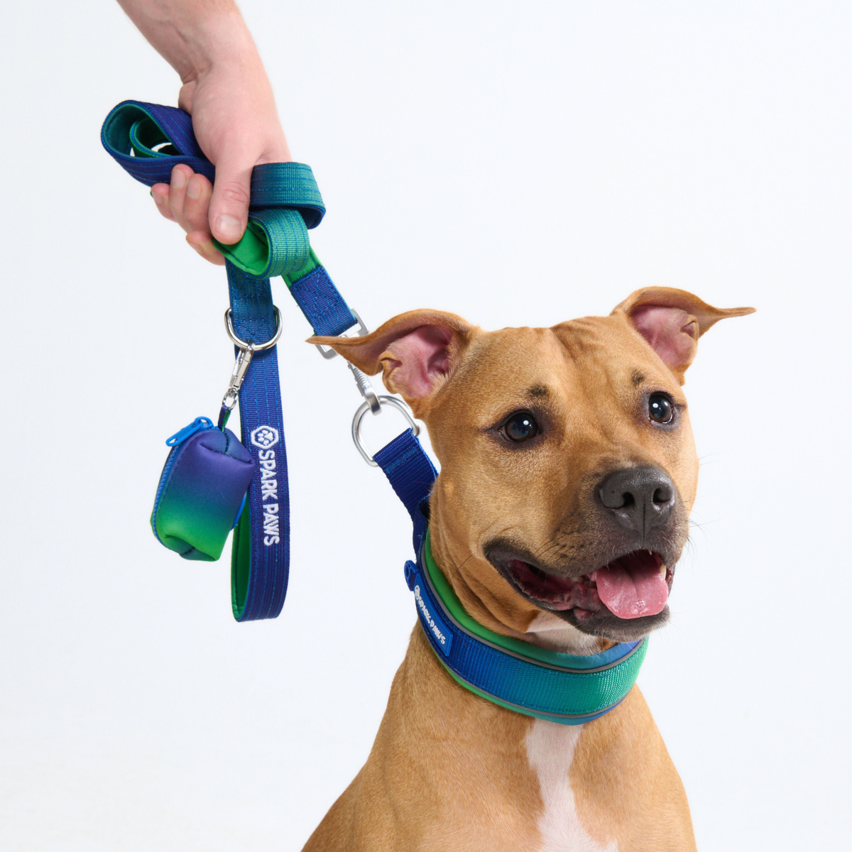 Cushioned Martingale Collar - Lime Wave - Image 10