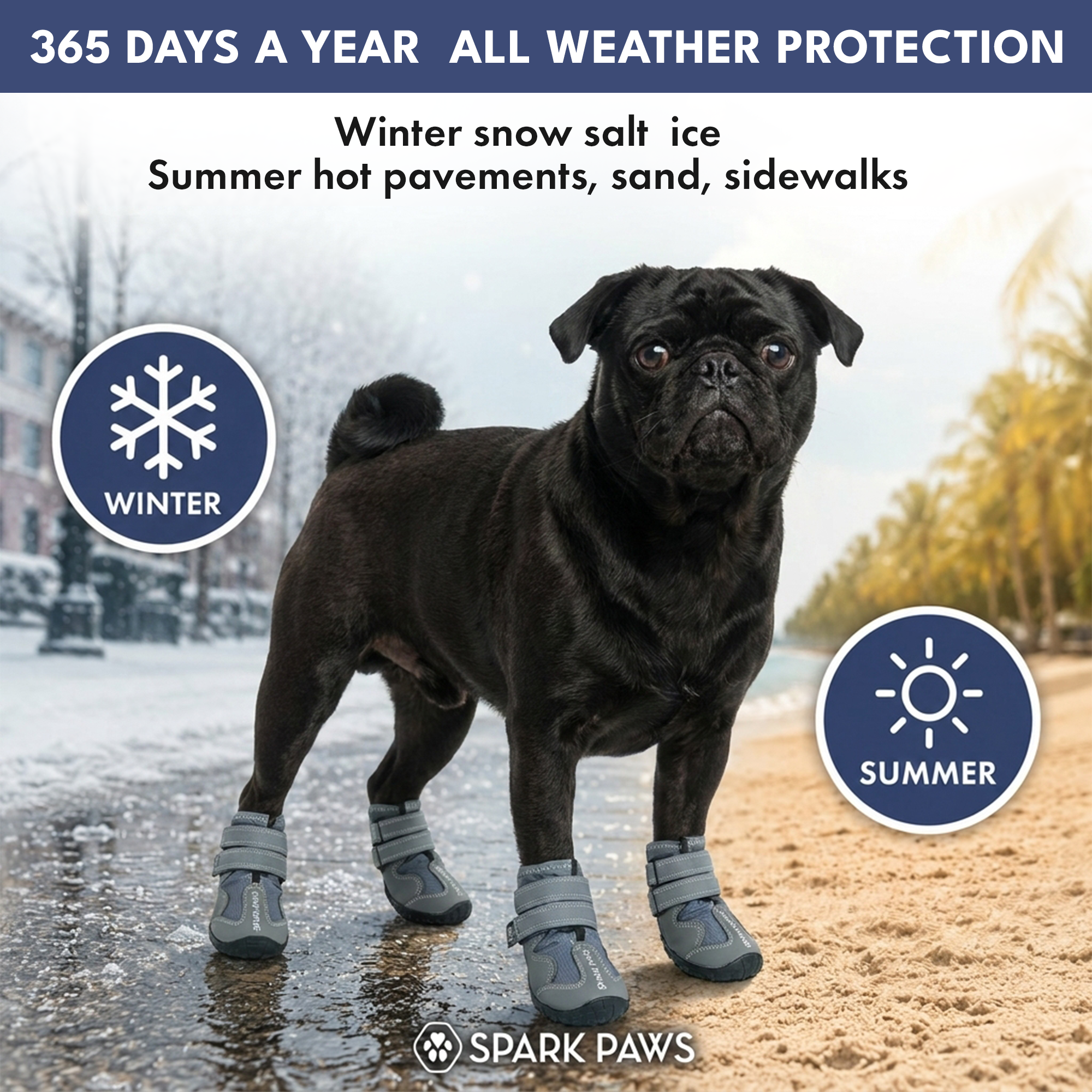 365 All-Season Dog Shoe 4PC Set - Image 2