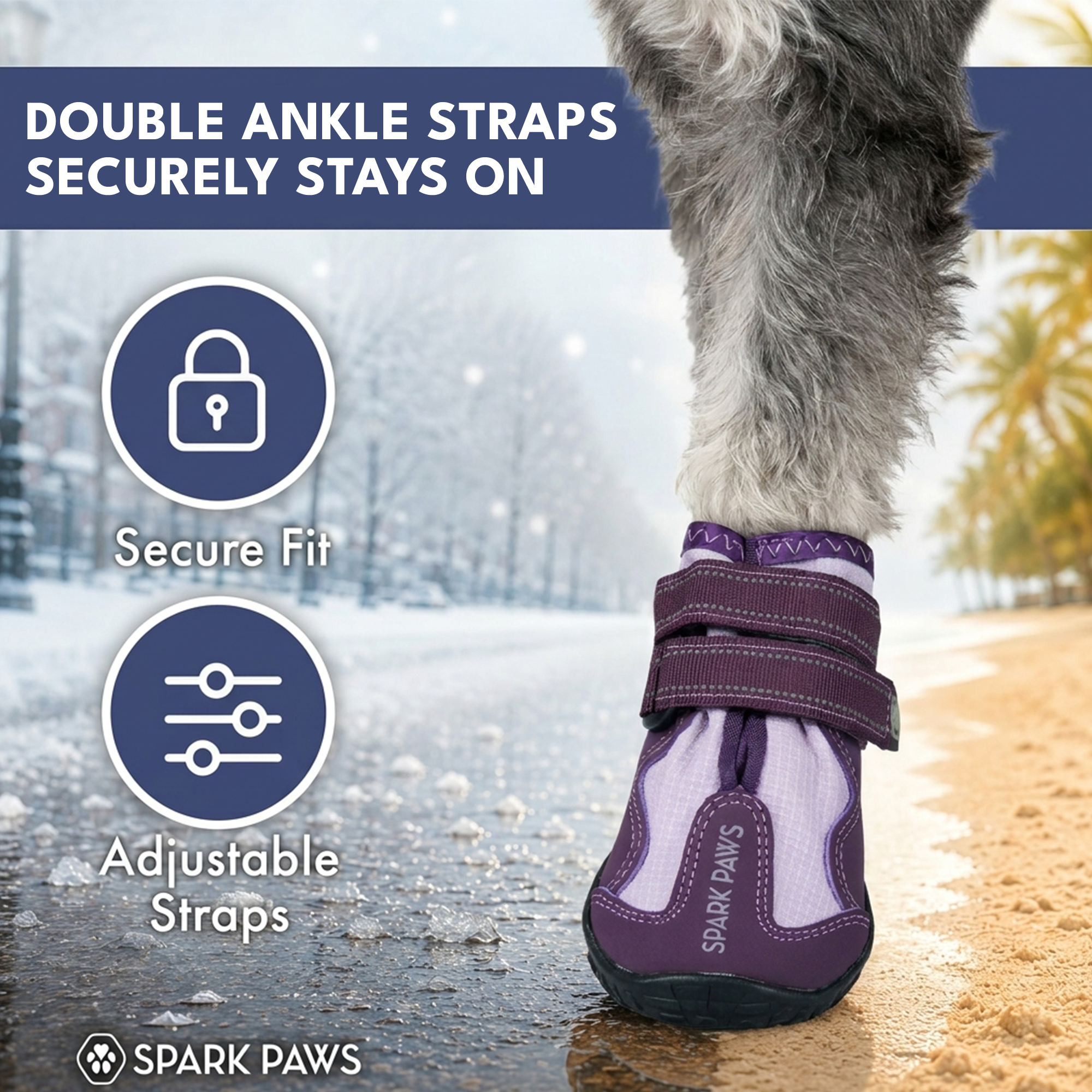 365 All-Season Dog Shoe 4PC Set - Image 10