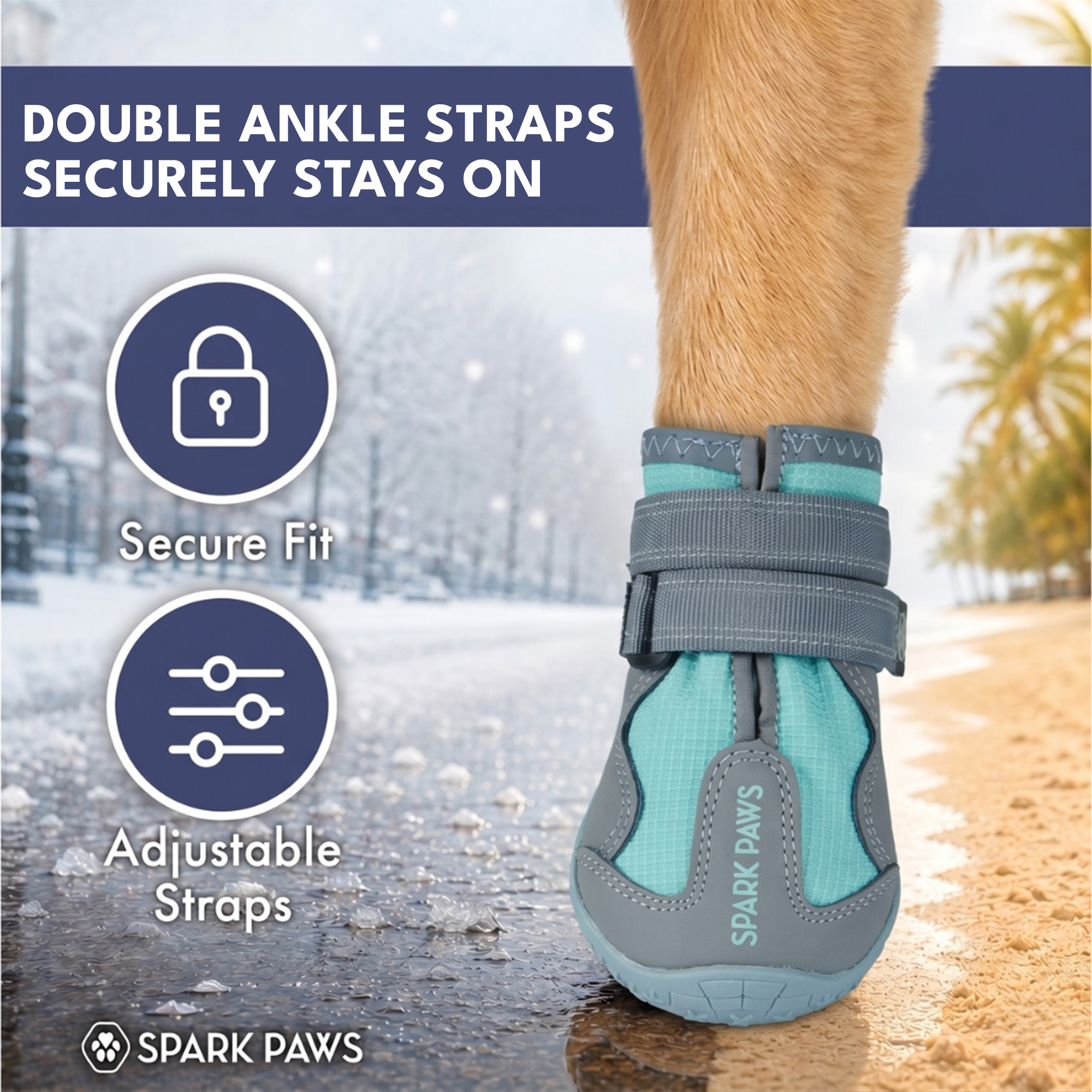 365 All-Season Dog Shoe 4PC Set - Teal - Image 4