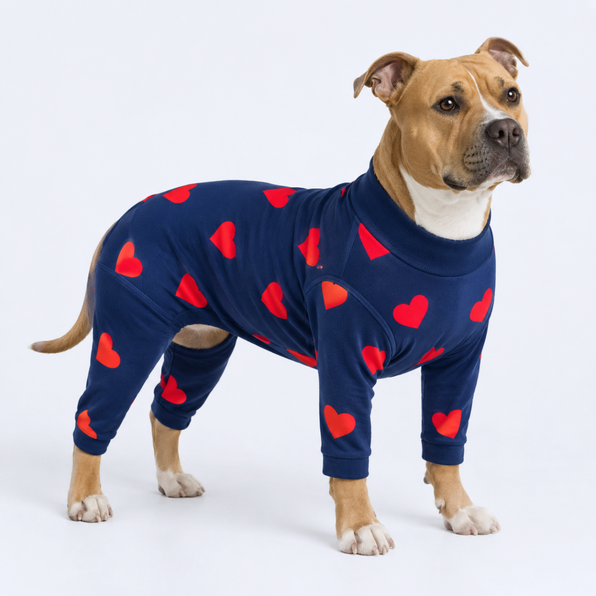 Dog Pajama - Hearts - Image 7