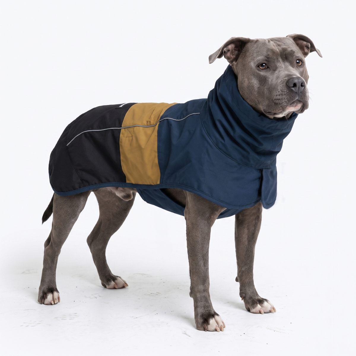 Breatheshield™ Dog Raincoat - Blue Gold Black - Image 7