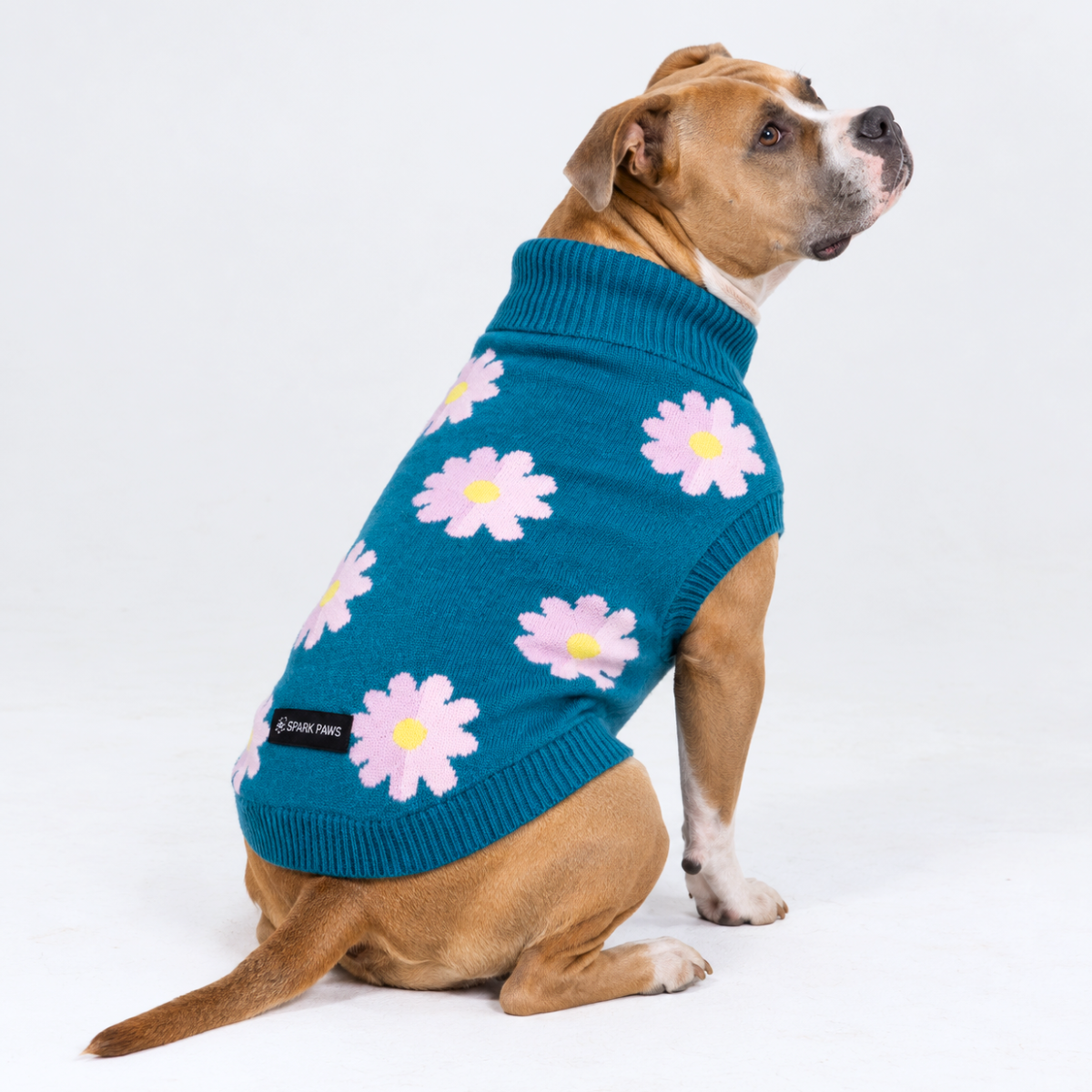 Flower Knit Dog Sweater - Image 6