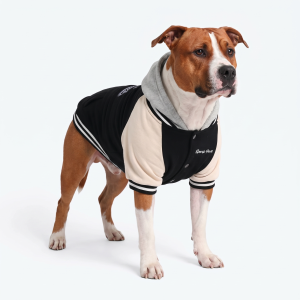Dog Varsity Jacket - Black