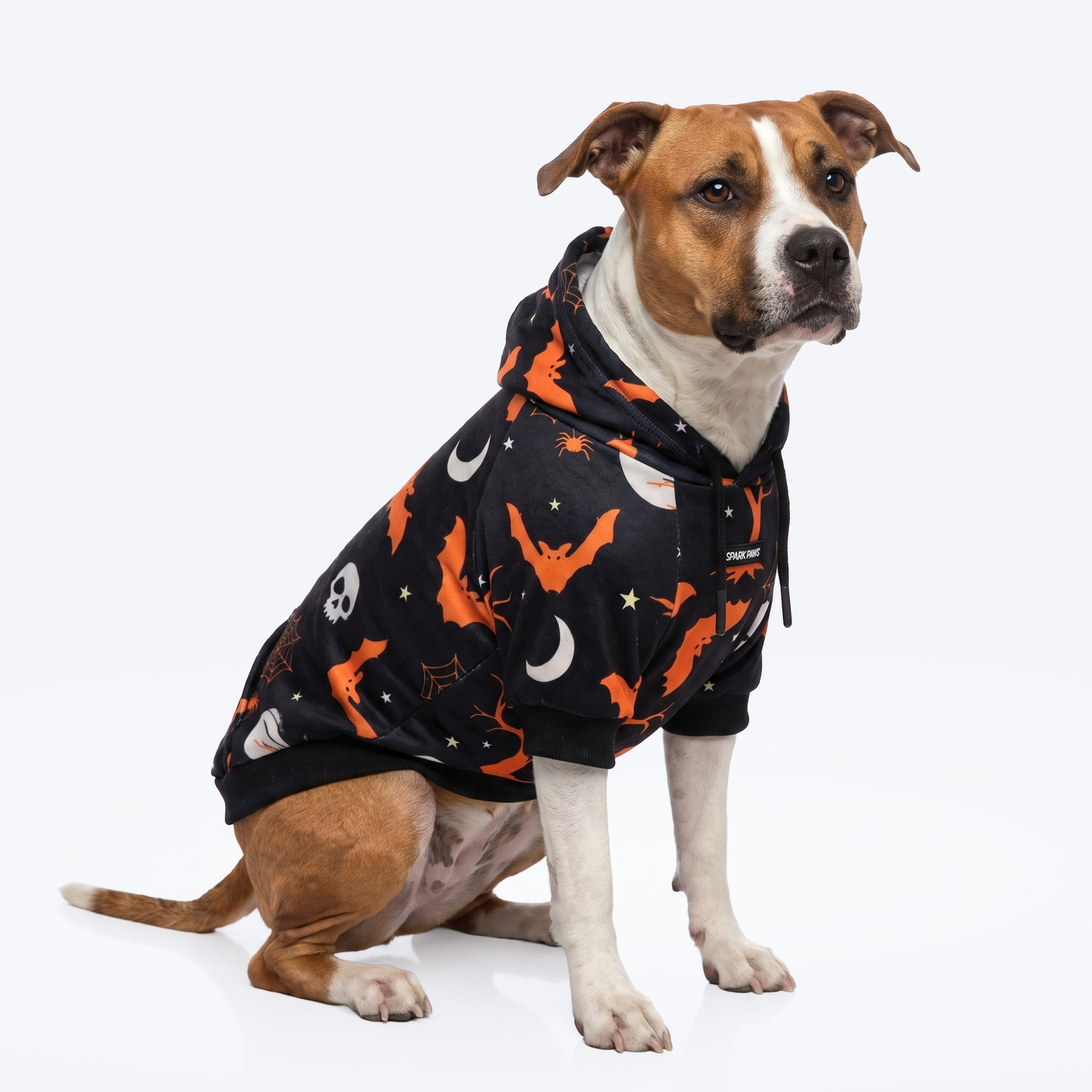 Halloween Dog Hoodie - Black - Image 7