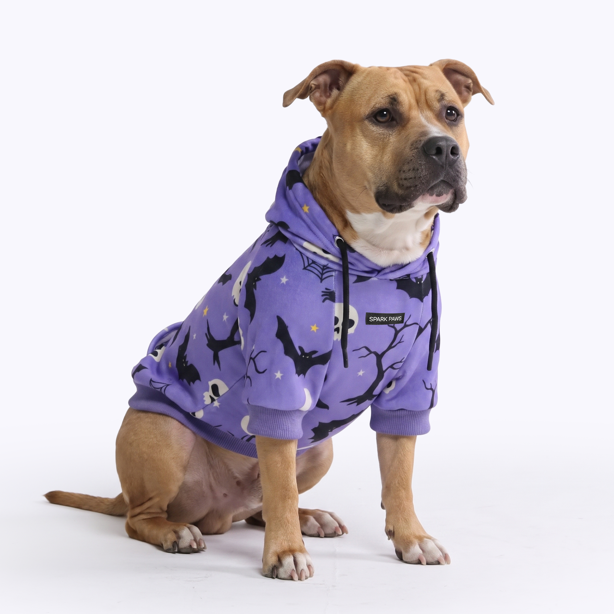 Halloween Dog Hoodie - Purple - Image 8