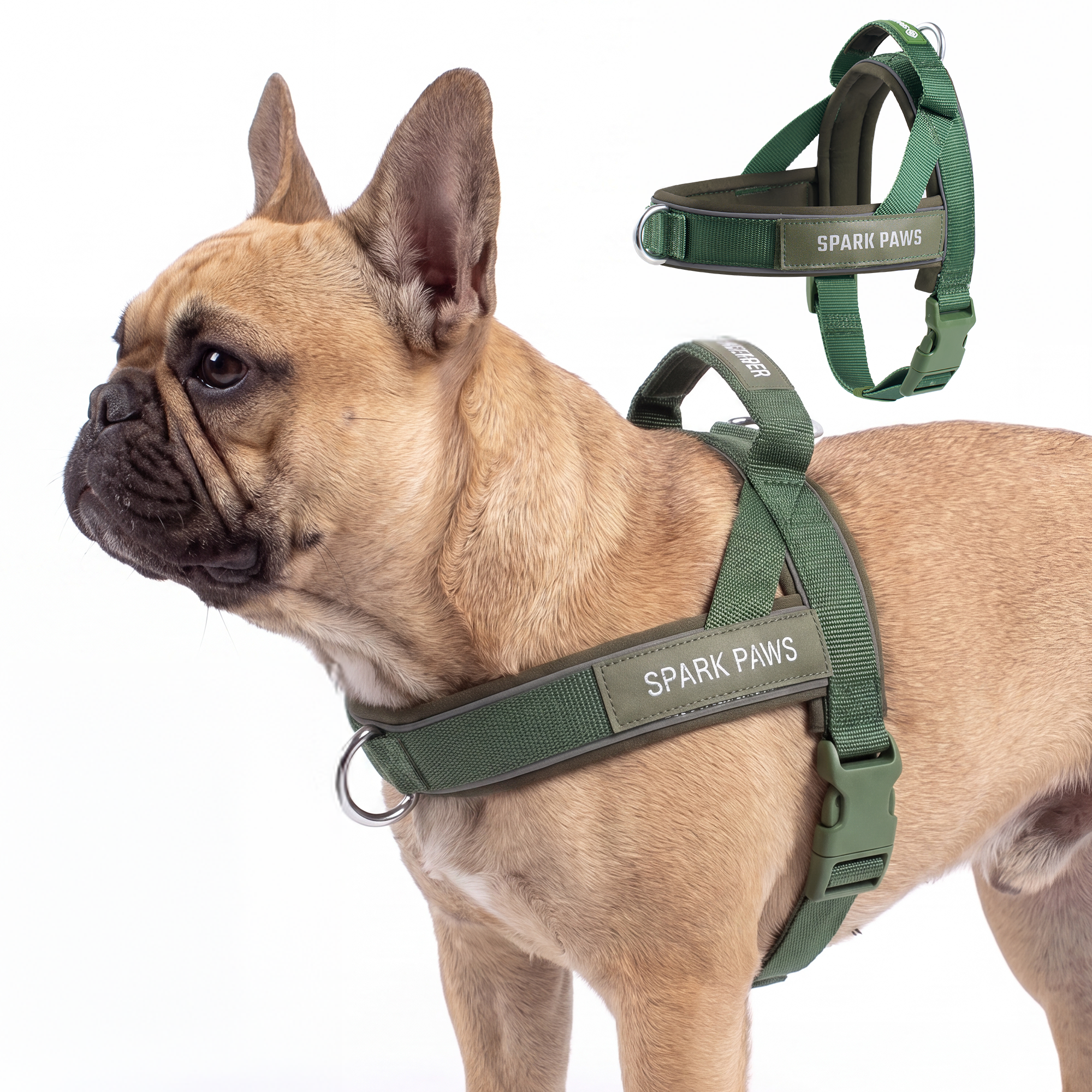 Grab & Go Harness - Army Green - Image 4