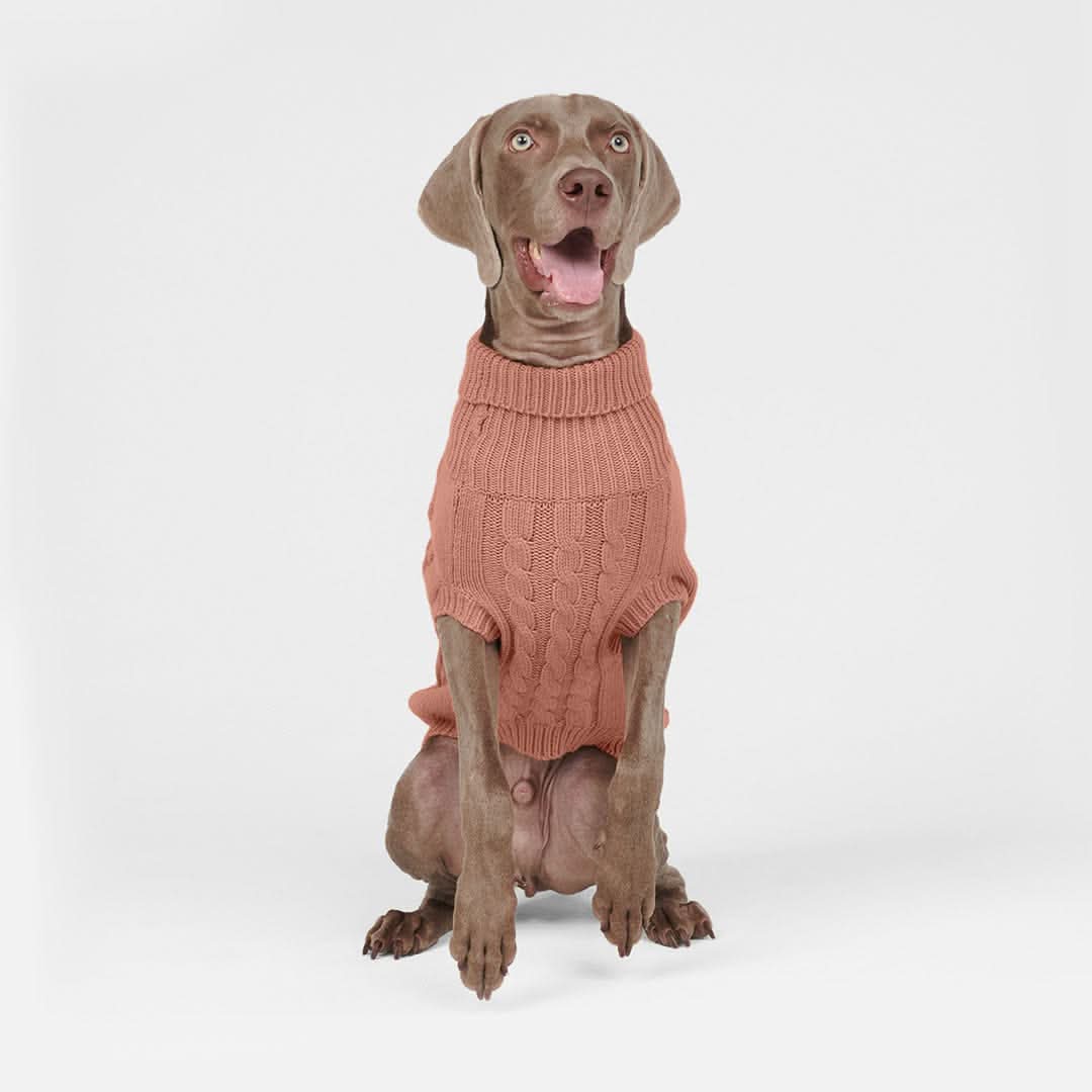 Cable Knit Dog Sweater - Brown - Image 3