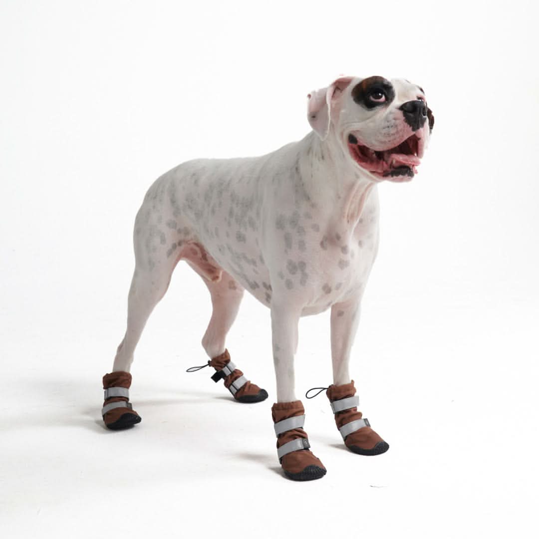 Dog Rainboots. Waterproof Dog Shoes - Brown - Image 2
