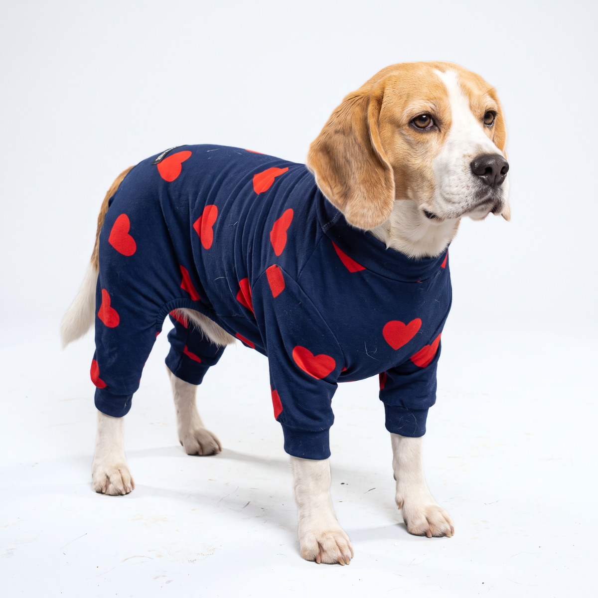 Dog Pajama - Hearts - Image 4