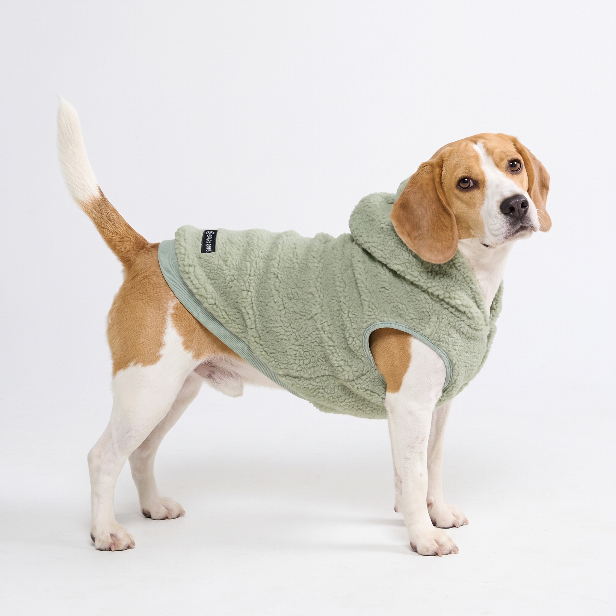 Teddy Sherpa Dog Jacket - Light Green - Image 5