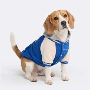 Dog Varsity Jacket - Blue
