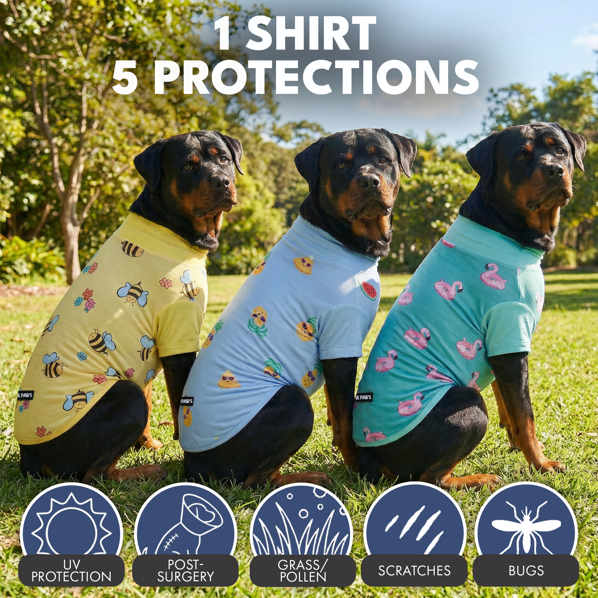 Sunblock Dog T-Shirt (3-pack) - Bees. Flamingo. Pineapple - Image 6