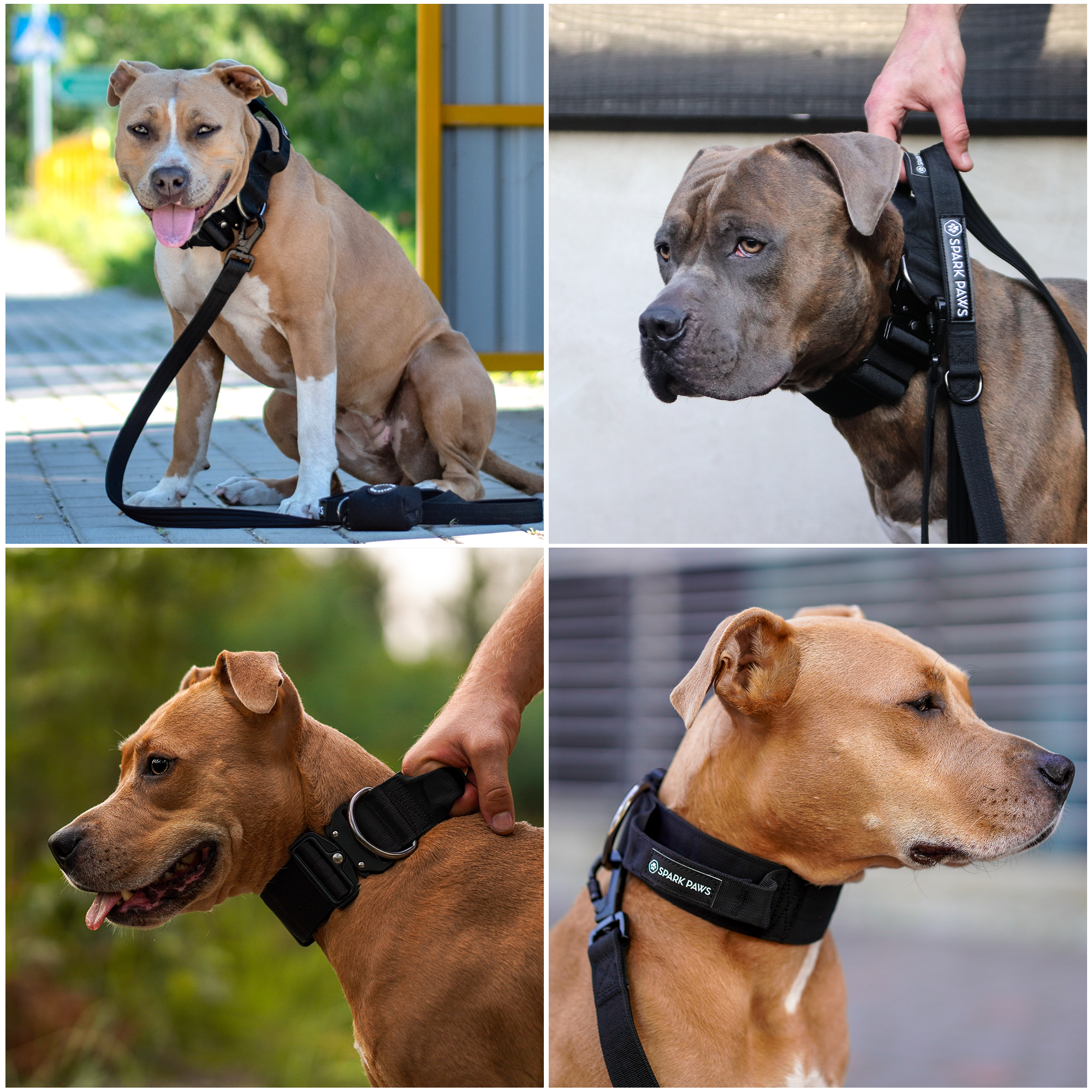 Comfort Control Collar - Black - Image 6