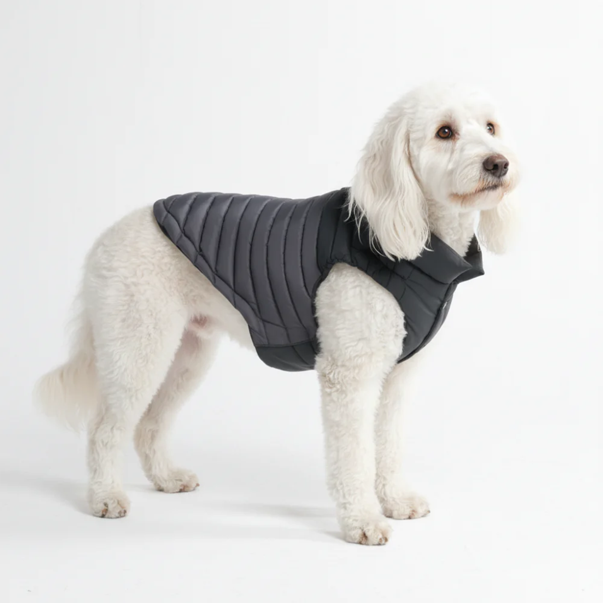 PuffShield Winter Jacket - Black - Image 3
