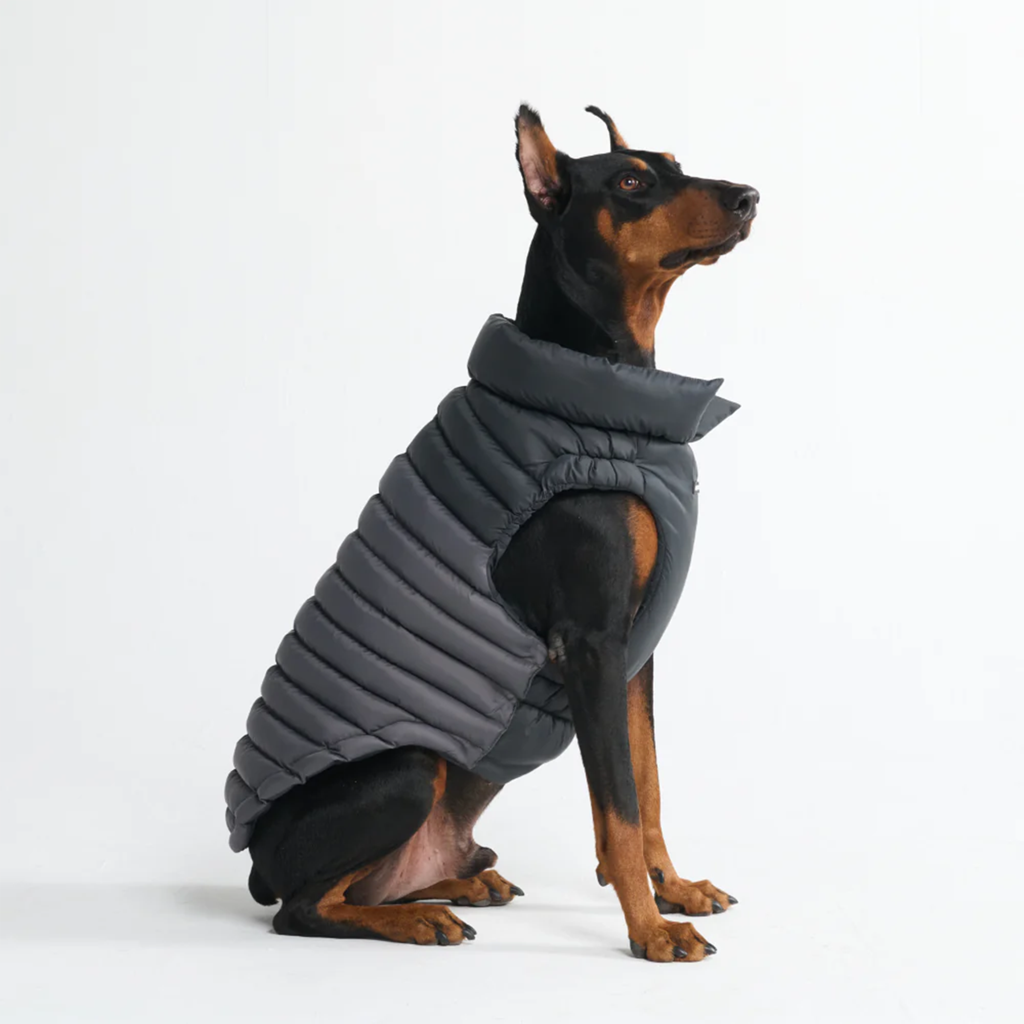 PuffShield Winter Jacket - Black - Image 4