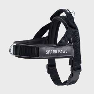 Grab & Go Harness - Black
