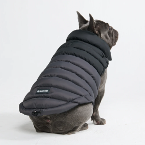 PuffShield Winter Jacket - Black
