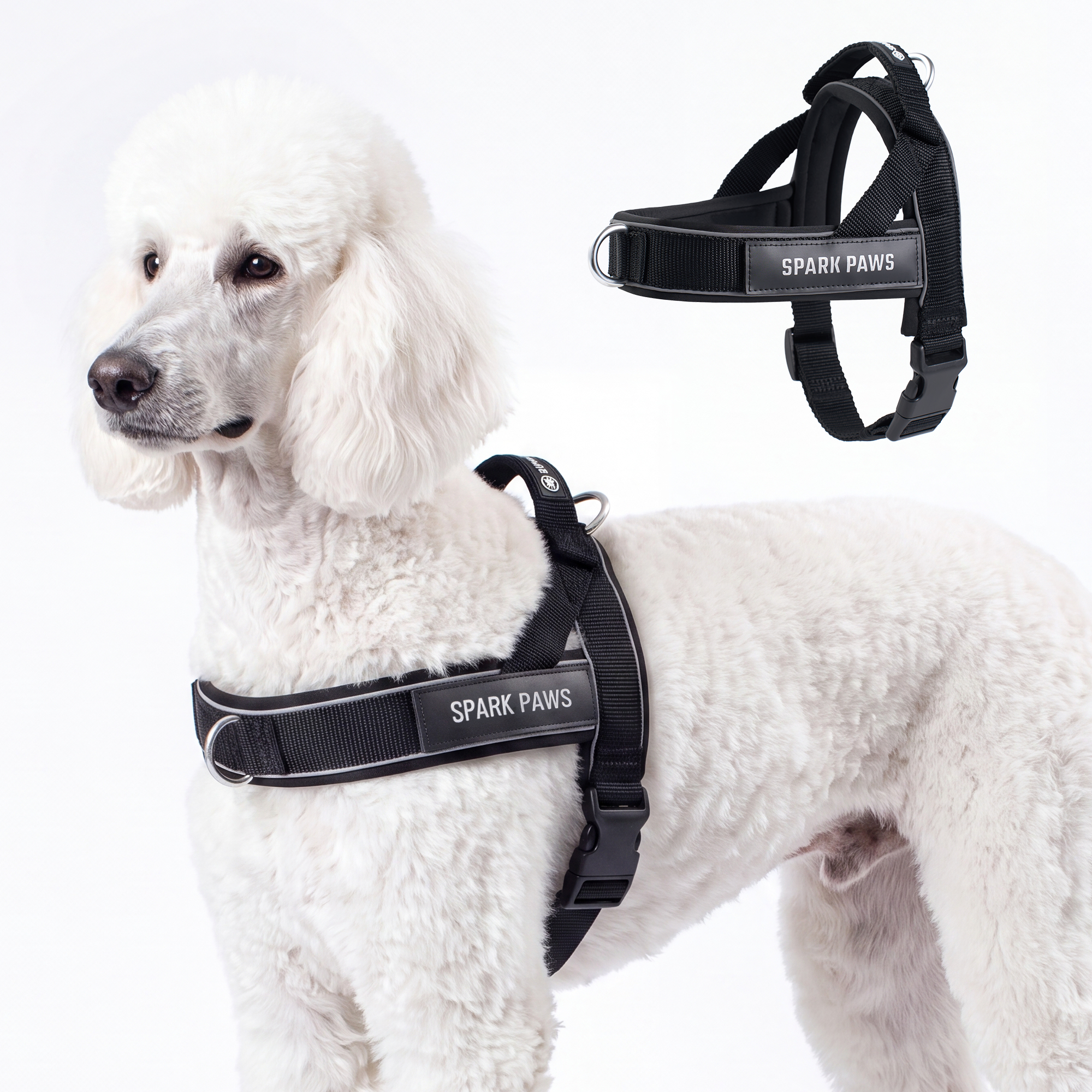 Grab & Go Harness - Black - Image 5