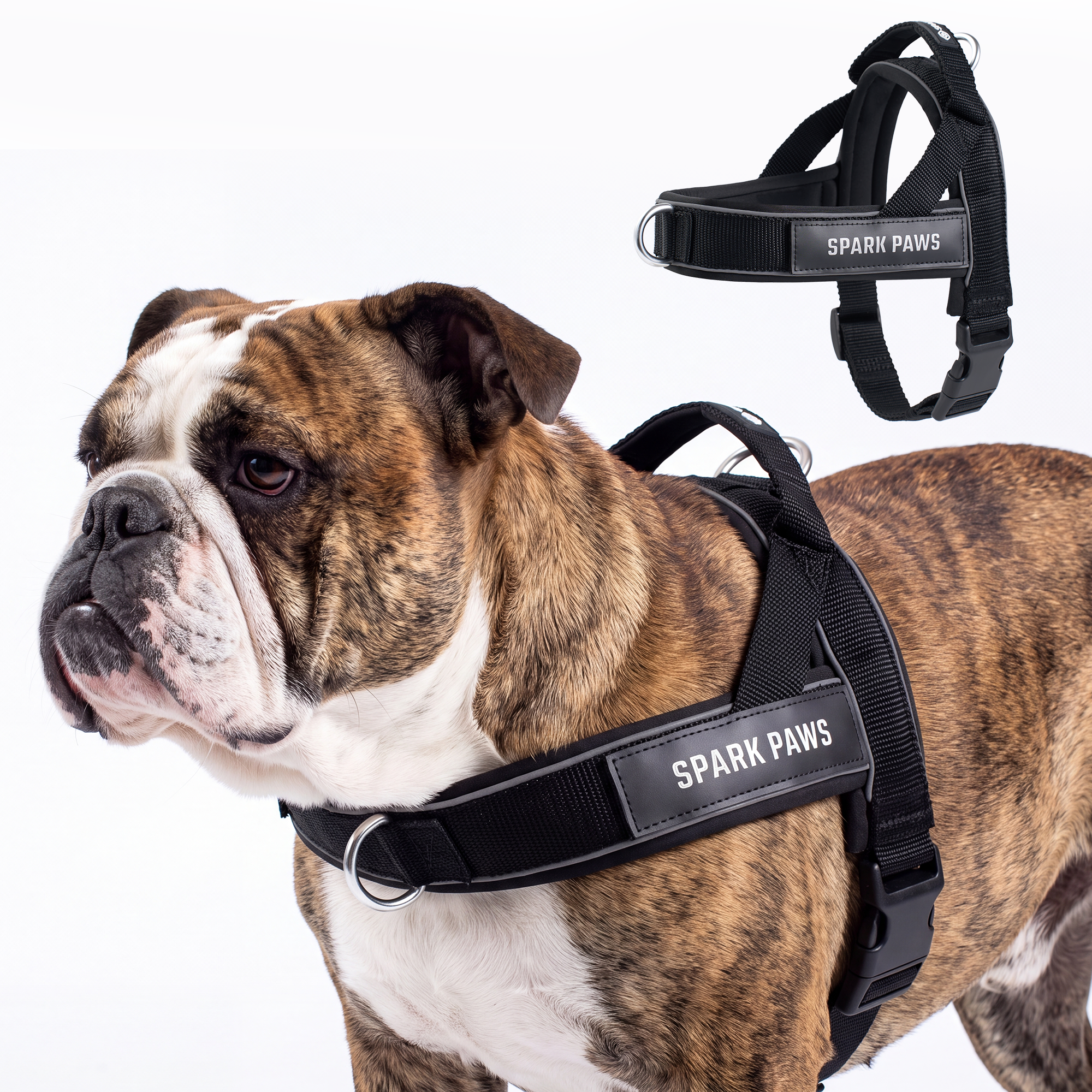 Grab & Go Harness - Black - Image 4