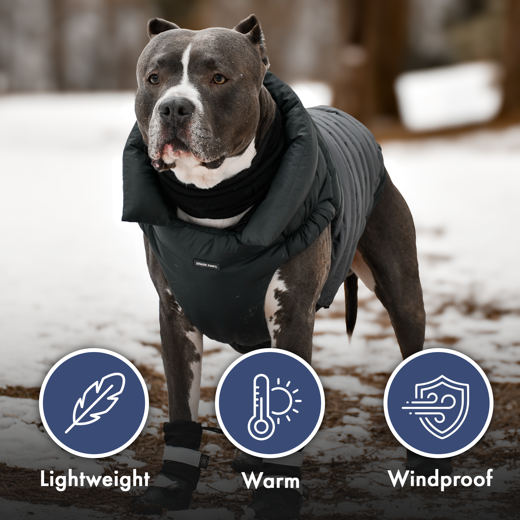 PuffShield Winter Jacket - Black - Image 8