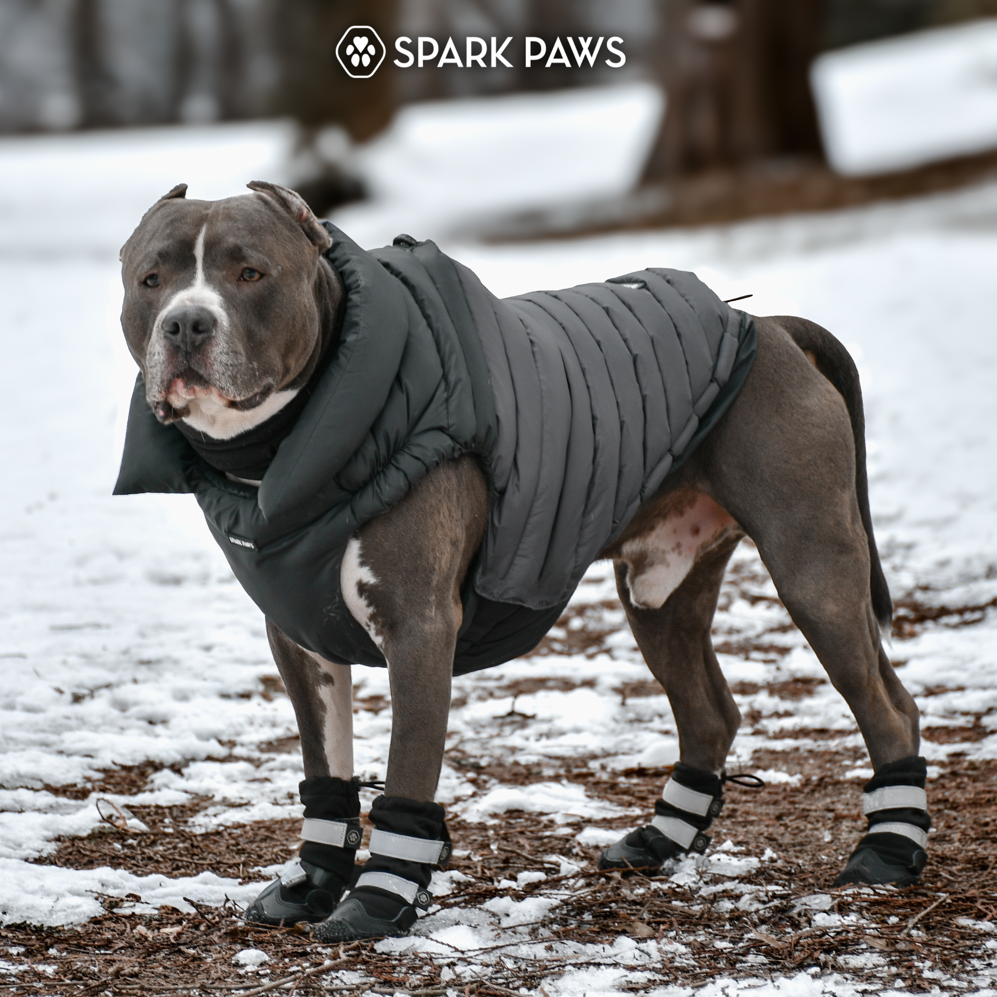 PuffShield Winter Jacket - Black - Image 9