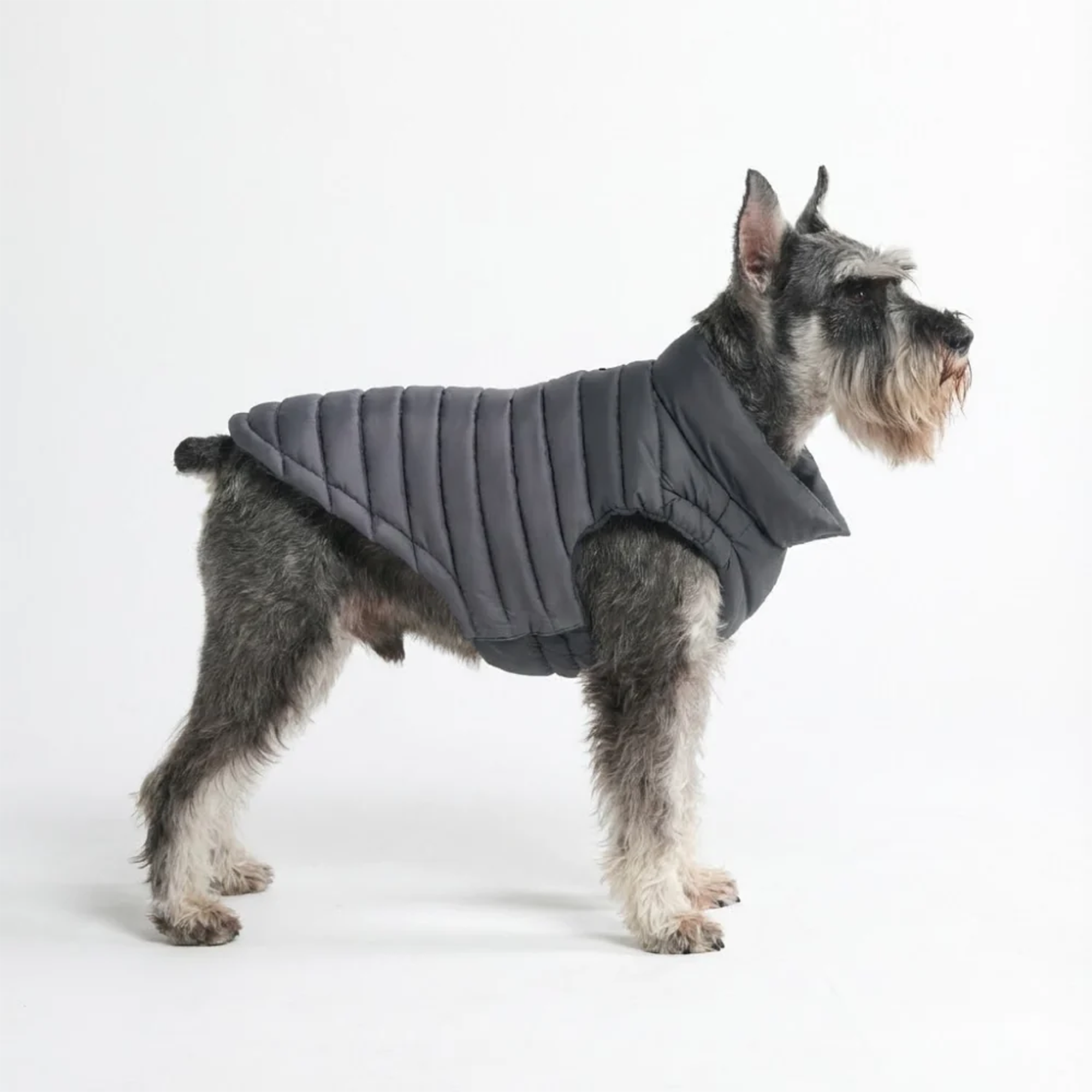 PuffShield Winter Jacket - Black - Image 2