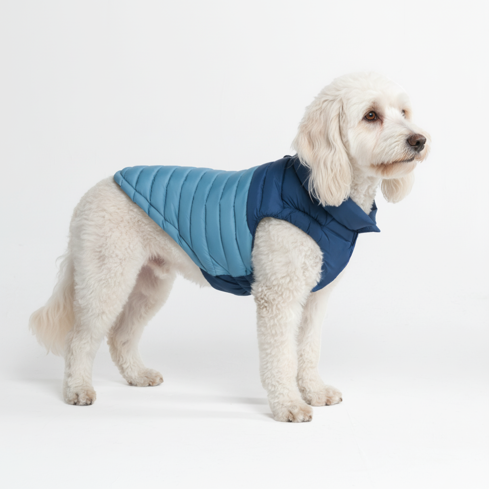 PuffShield Winter Jacket - Blue - Image 4