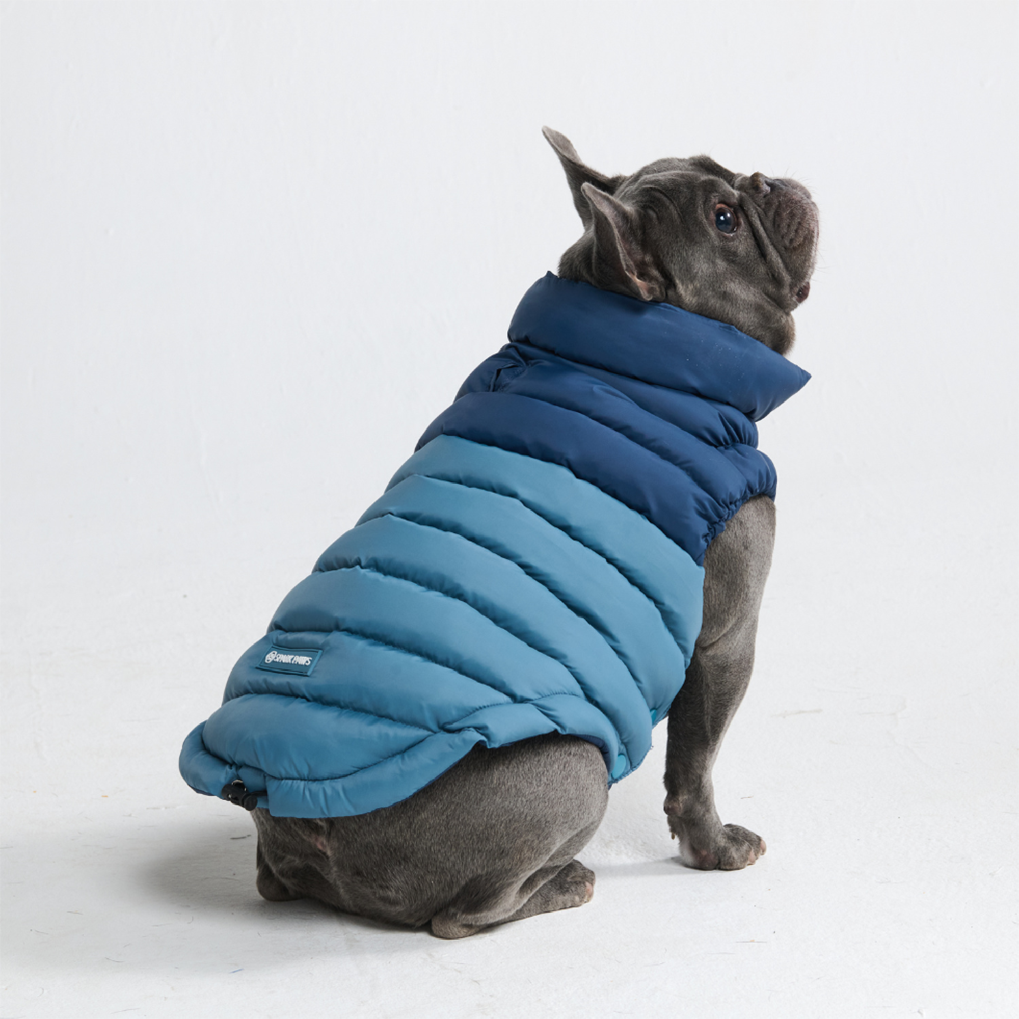 PuffShield Winter Jacket - Blue - Image 3