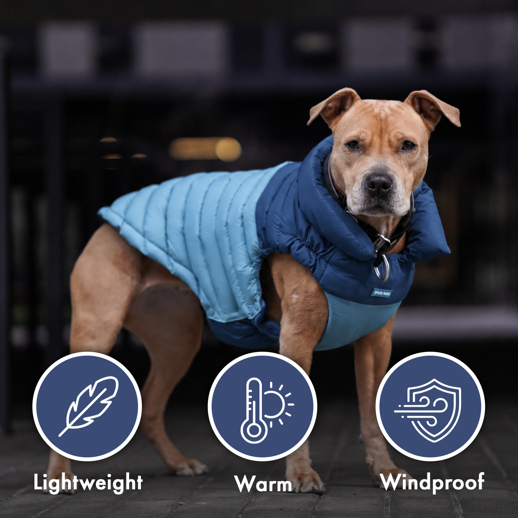 PuffShield Winter Jacket - Blue - Image 8
