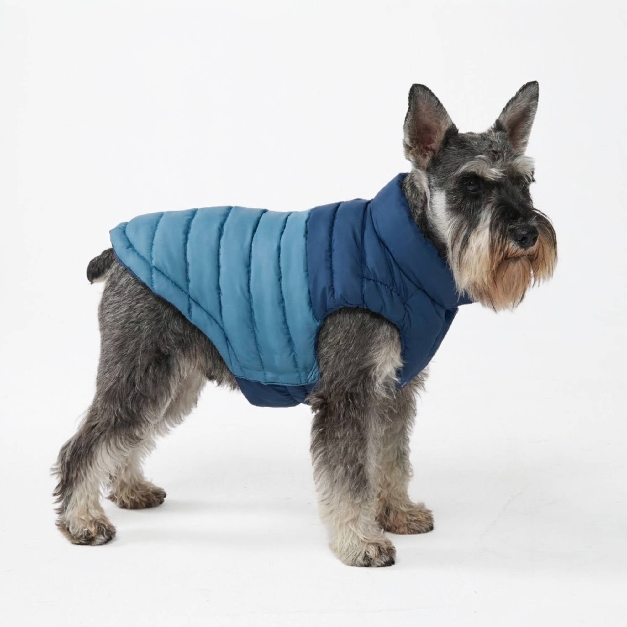 PuffShield Winter Jacket - Blue - Image 2