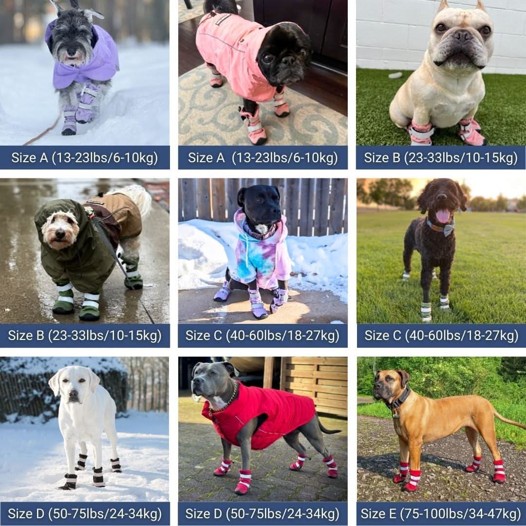 Dog Rainboots. Waterproof Dog Shoes - Black - Image 3