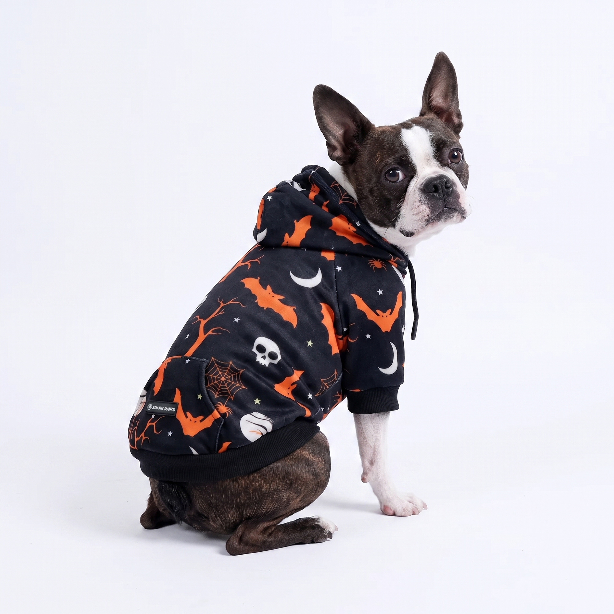 Halloween Dog Hoodie - Black - Image 4
