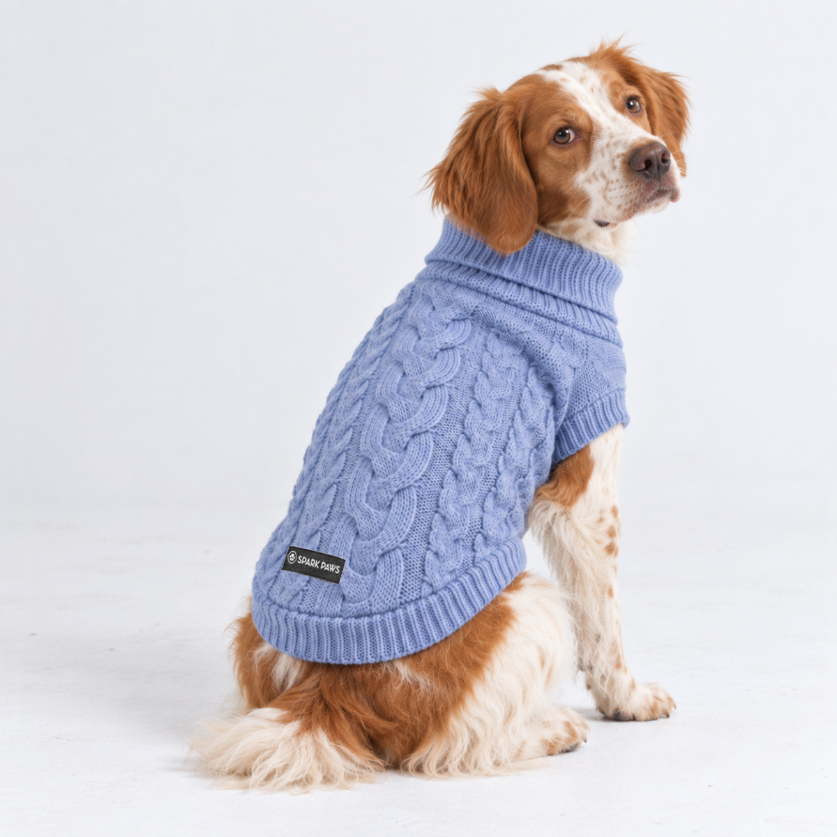 Cable Knit Dog Sweater - Blue - Image 3