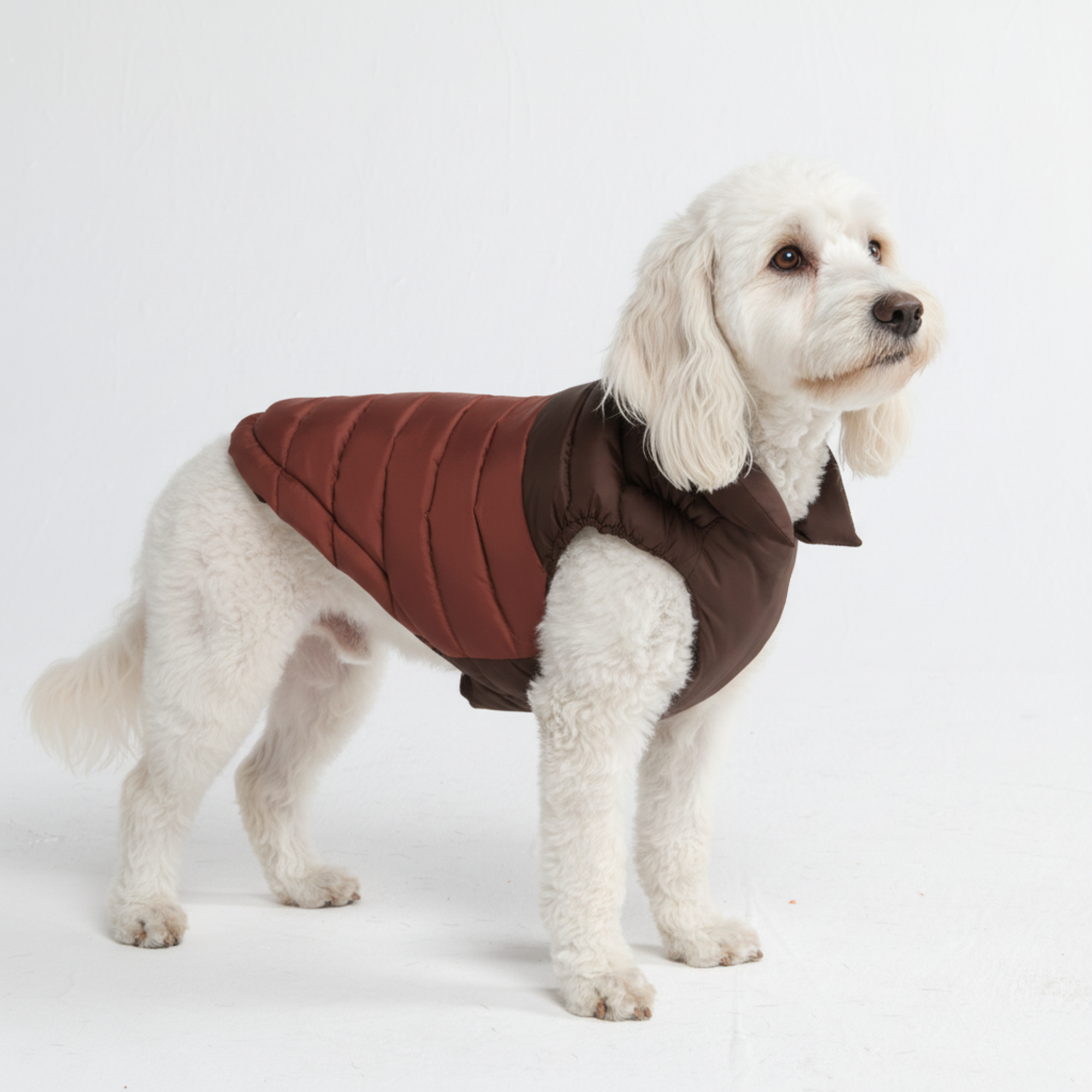 PuffShield Winter Jacket - Brown - Image 2