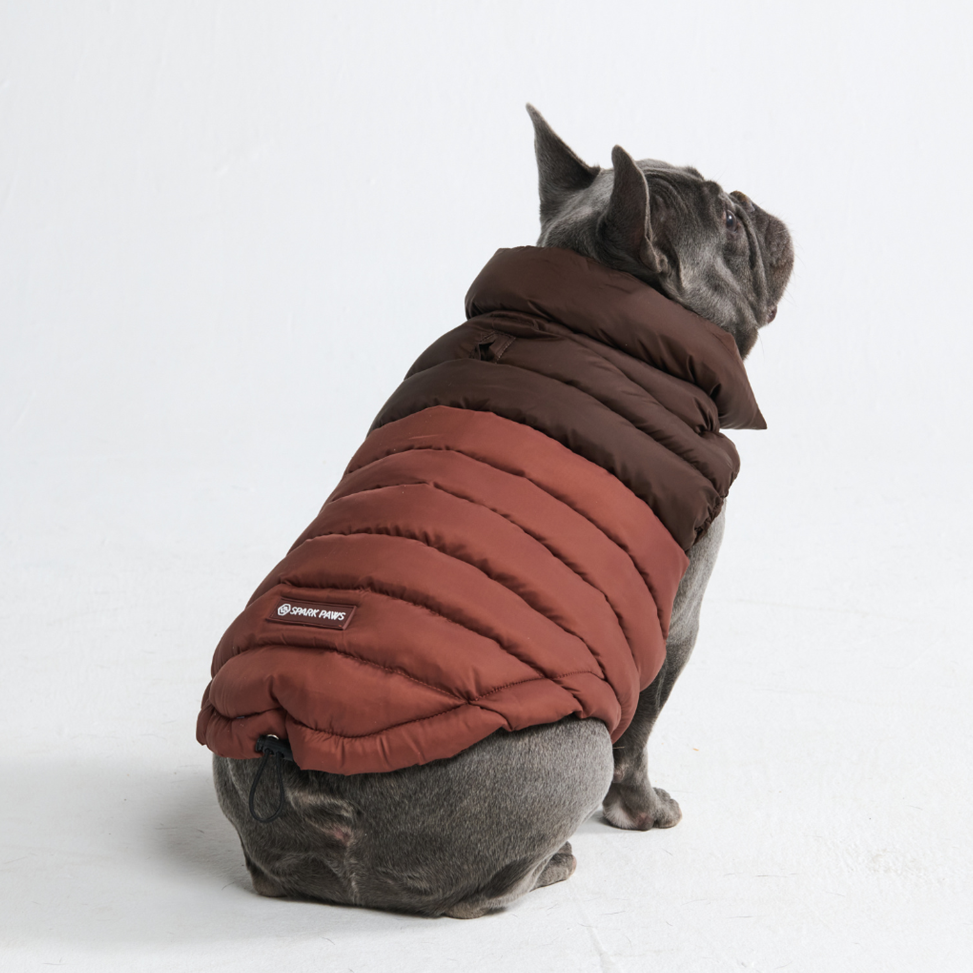 PuffShield Winter Jacket - Brown - Image 3