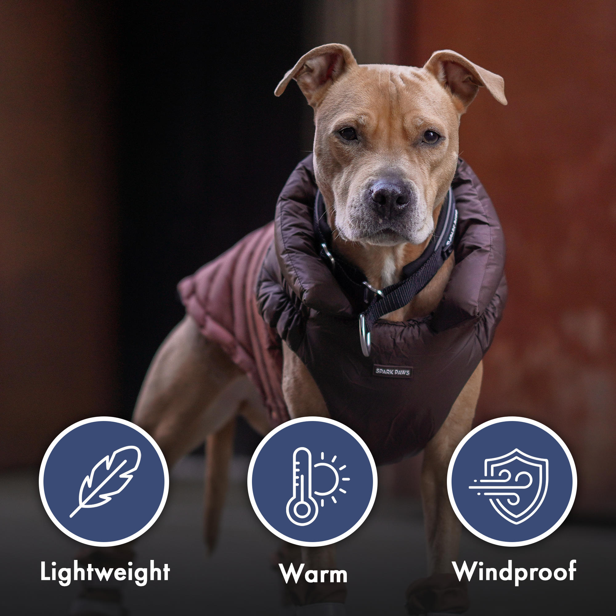 PuffShield Winter Jacket - Brown - Image 8