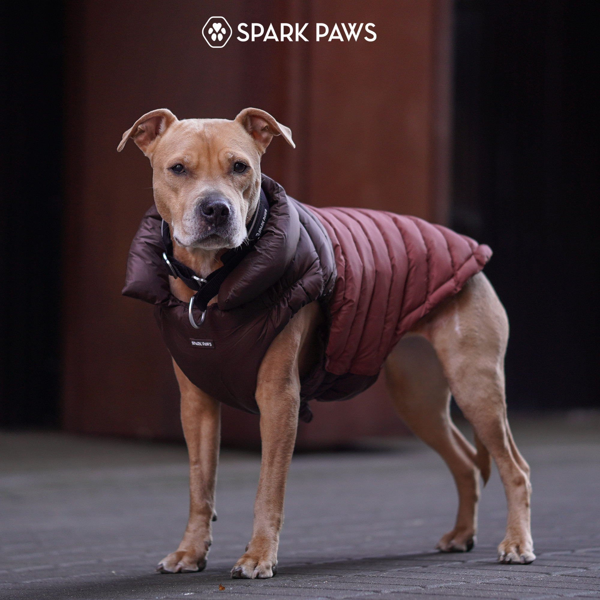 PuffShield Winter Jacket - Brown - Image 9