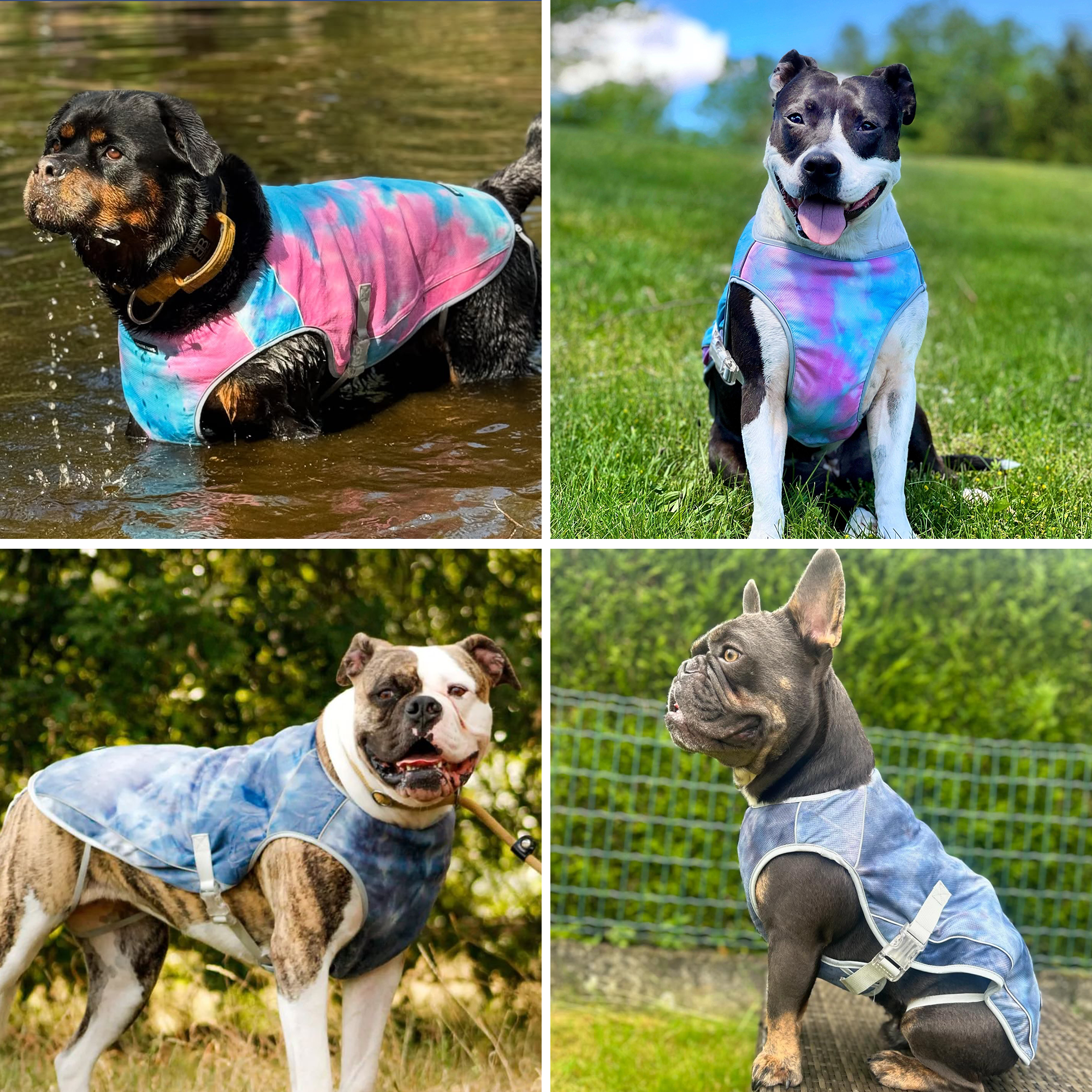 Dog Cooling Vest (2-pack) - Ice Blue & Snow Cone - Image 6