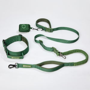 Comfort Control Collar and Multipurpose Leash Set - Green
