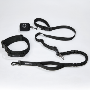 Comfort Control Collar and Multipurpose Leash Set - Black