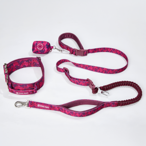 Comfort Control Collar and Multipurpose Leash Set - Fuchsia Camo