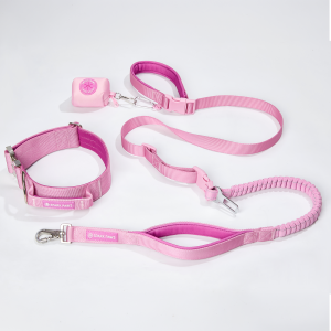 Comfort Control Collar and Multipurpose Leash Set - Pink