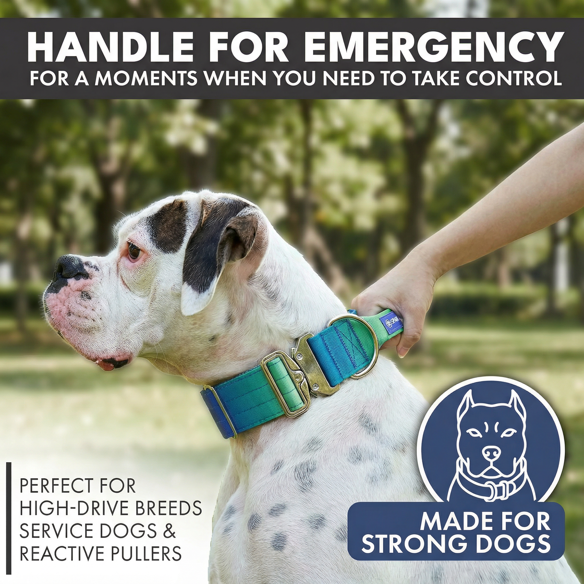 Comfort Control Collar and Multipurpose Leash Set - Lime Wave - Image 2