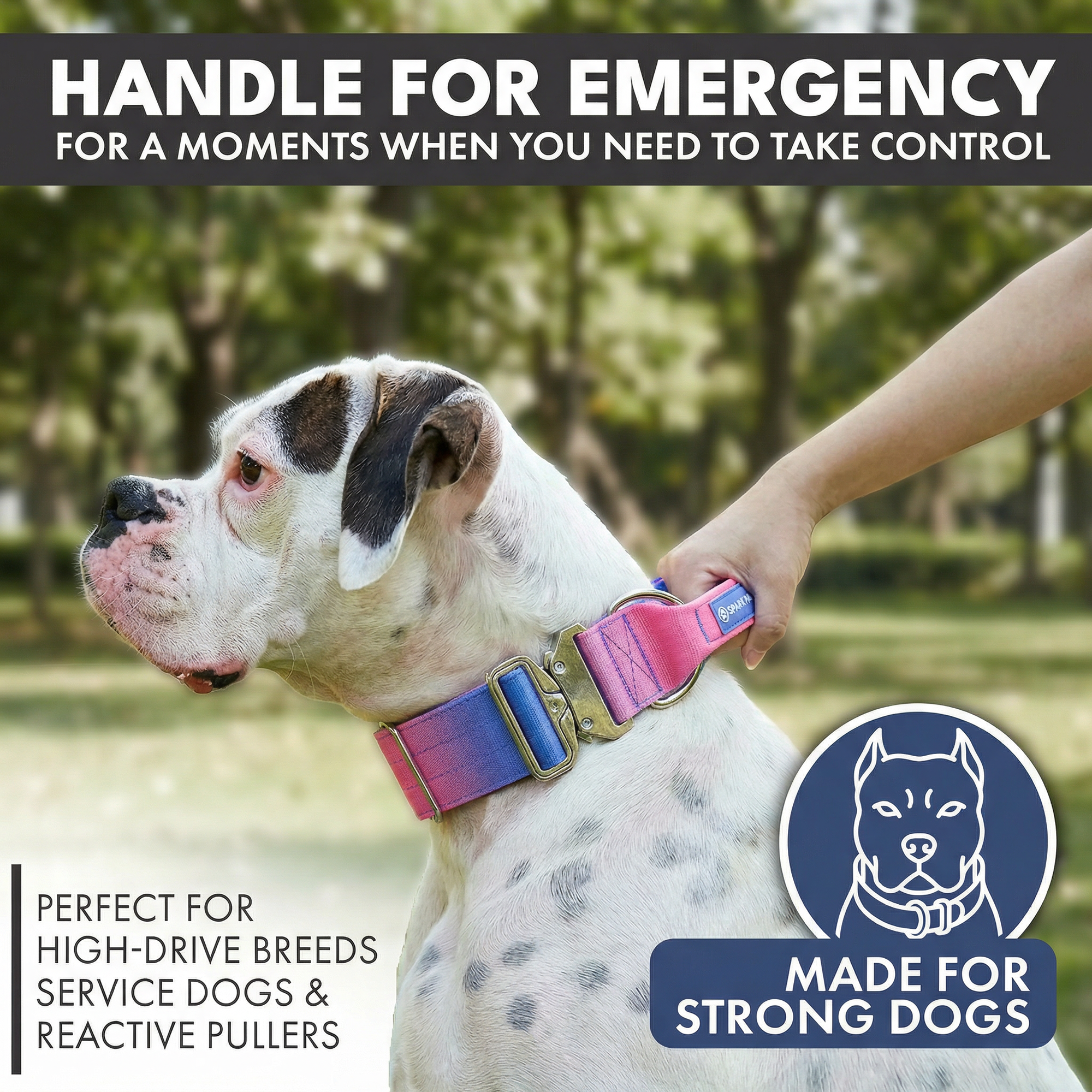 Comfort Control Collar and Multipurpose Leash Set - Snow Cone - Image 2