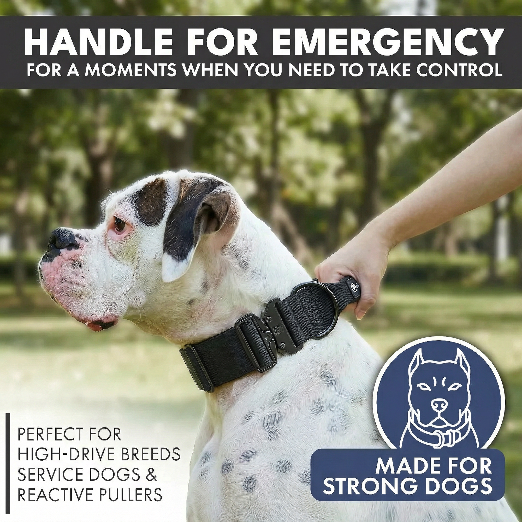Comfort Control Collar and Multipurpose Leash Set - Black - Image 2