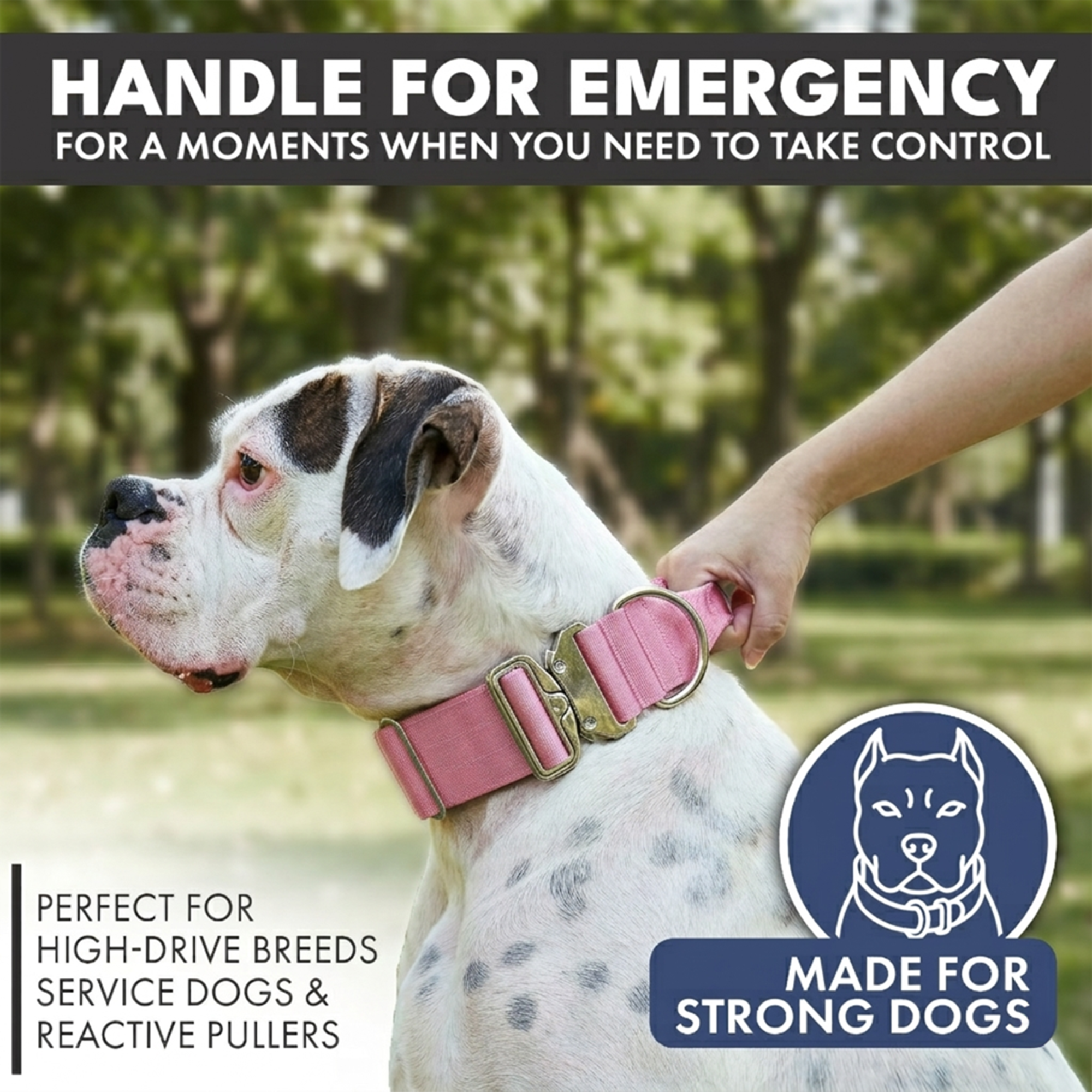 Comfort Control Collar Set - Pink - Image 2