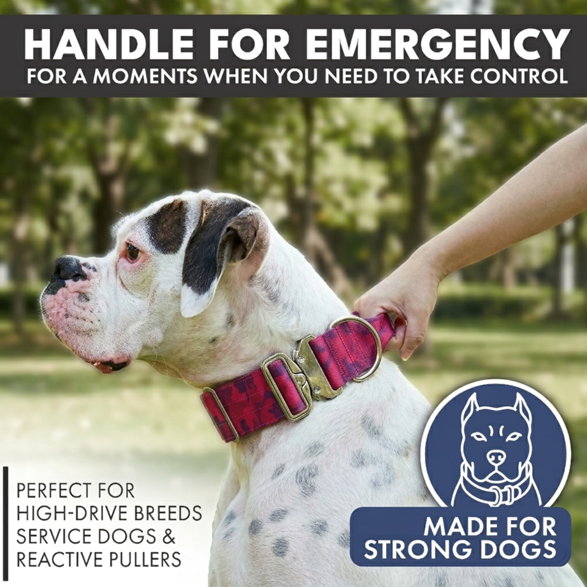 Comfort Control Collar Set - Fuchsia Camo - Image 2
