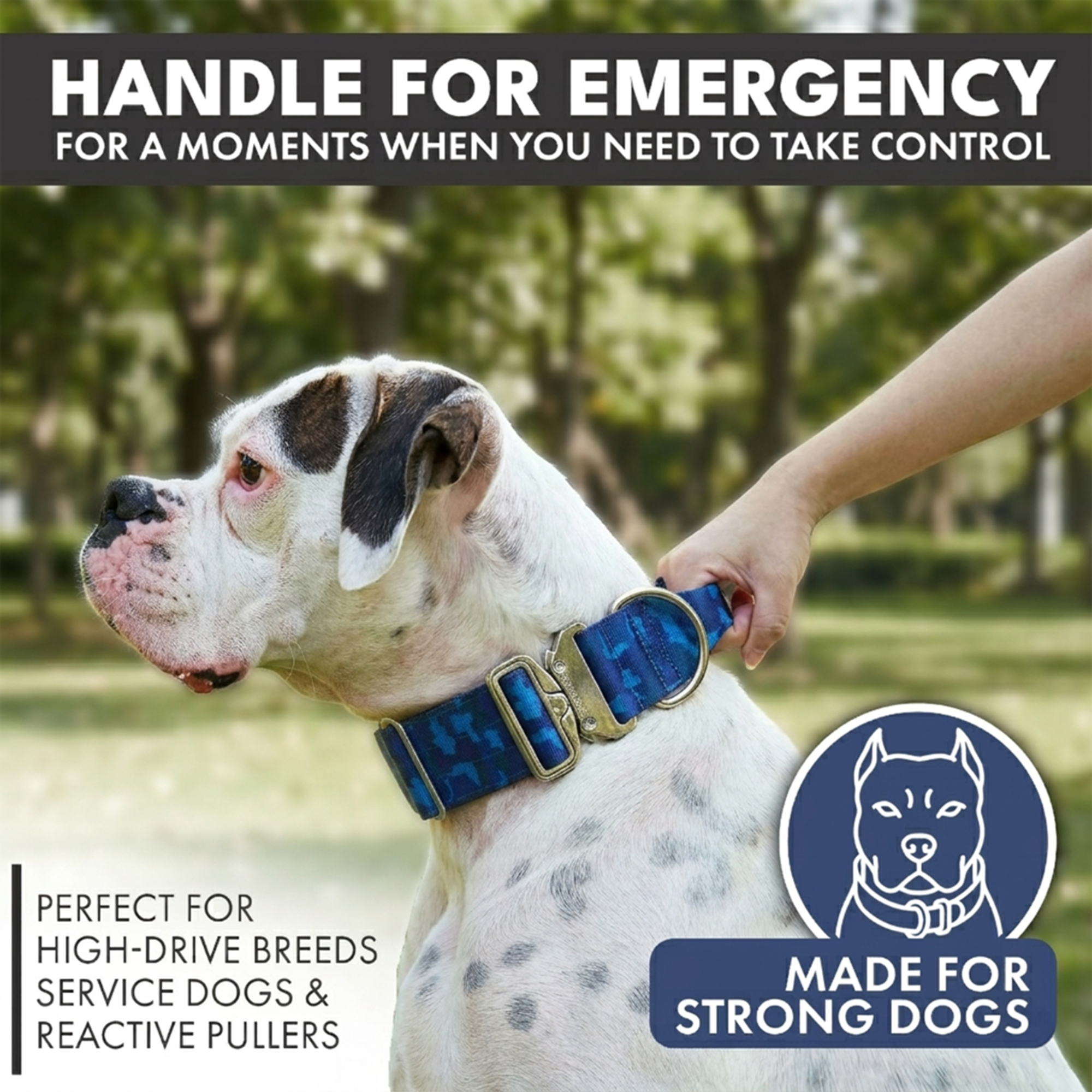 Comfort Control Collar Set - Blue Camo - Image 2