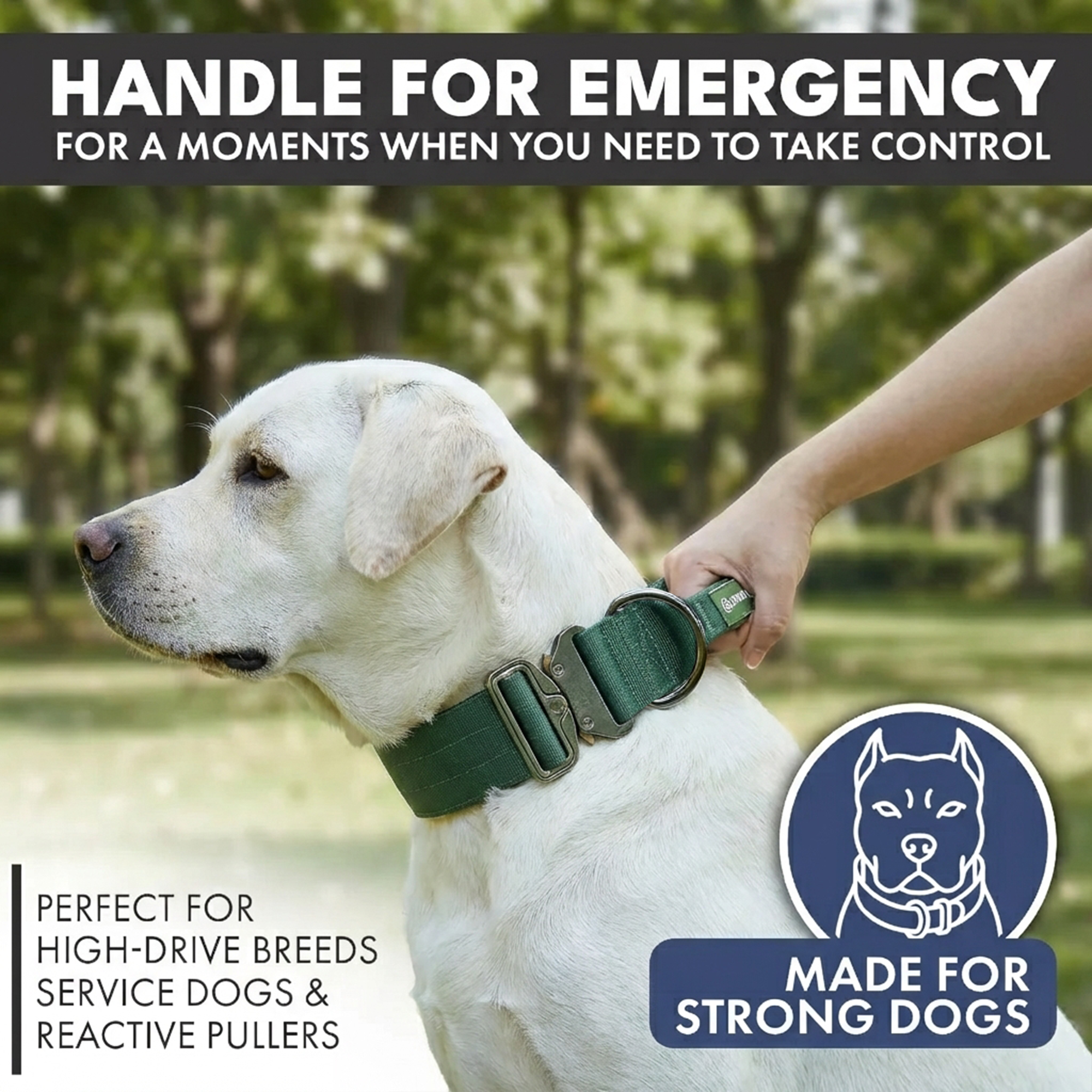 Comfort Control Collar Set - Army Green - Image 2